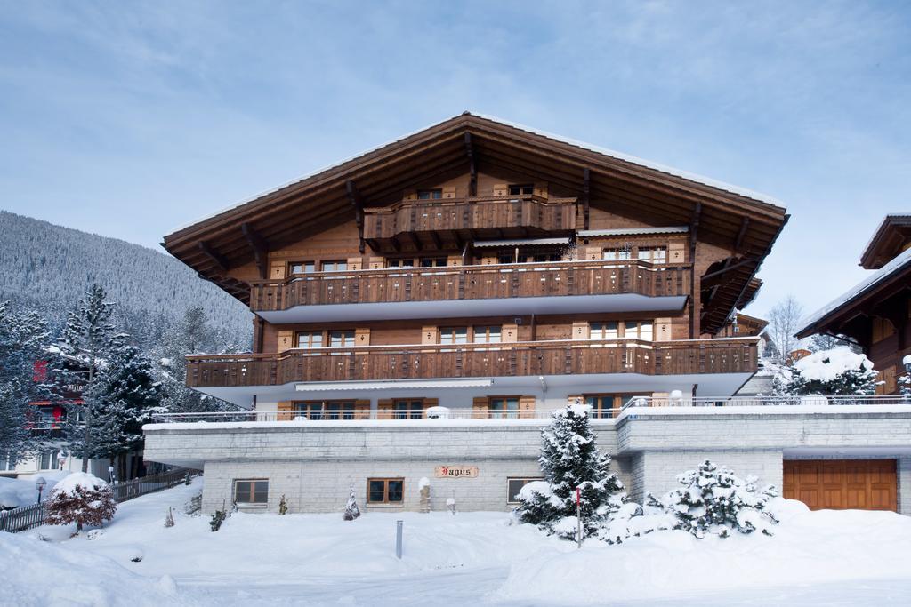 Mom - Alpine Boutique Apartments, Chalet Fagus, Terrace Studio Grindelwald Buitenkant foto